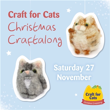 Get Crafty for Cats this November