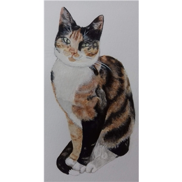Win a fabulous personalised portrait of your own pet