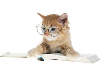 Welcome to our News Page Welcome to our News Page