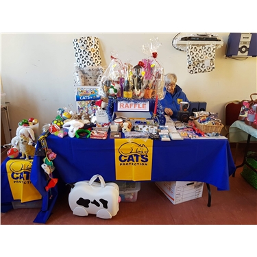 Castle Connections Christmas Fair Castle Connections Christmas Fair