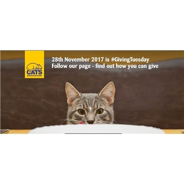Just Giving Tuesday Just Giving Tuesday