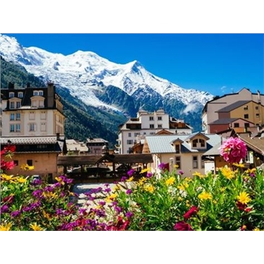 The Alps Trek Challenge 2022 The Alps Trek Challenge 2022