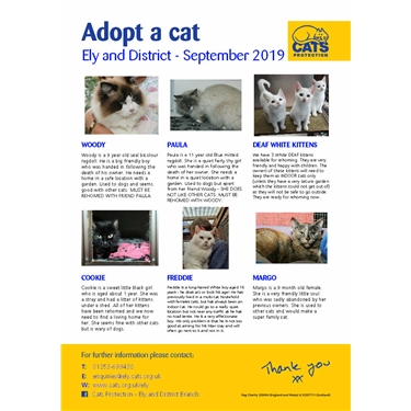 Cats for September Cats for September