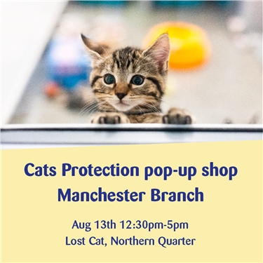 Cats Protection pop-up shop - Manchester Branch