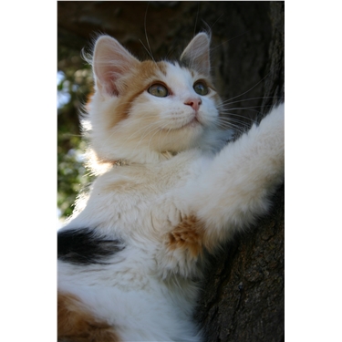 Lost & Found Volunteer needed Lost & Found Volunteer needed