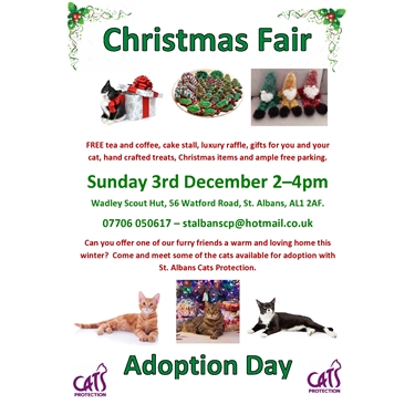 Adoption Day and Christmas Fair