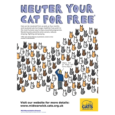 Free Neutering Month - February 2020 Free Neutering Month - February 2020