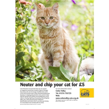 **SNIP AND CHIP £5 CAMPAIGN 2019** **SNIP AND CHIP £5 CAMPAIGN 2019**
