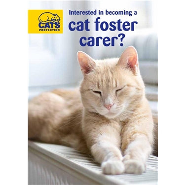 **FOSTERERS NEEDED** **FOSTERERS NEEDED**