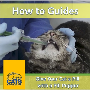 how to use pill popper for cats