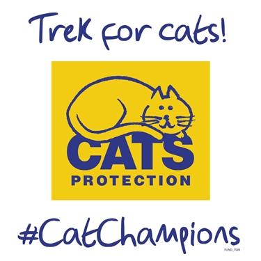 Help Us Help Even More Cats with the Thames Bridges Trek! Help Us Help Even More Cats with the Thames Bridges Trek!