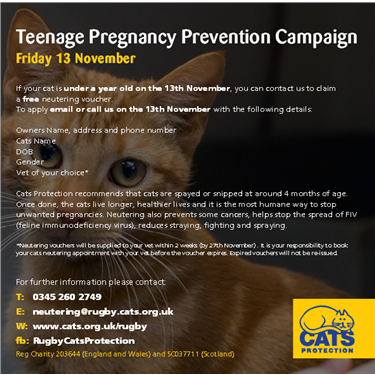 Teenage Pregnancy Prevention Campaign Teenage Pregnancy Prevention Campaign