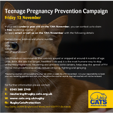 Teenage Pregnancy Prevention Campaign