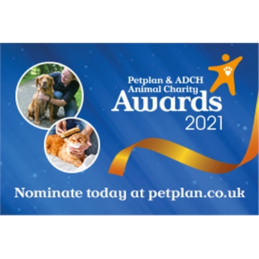 Nominations now open for Animal Charity Awards