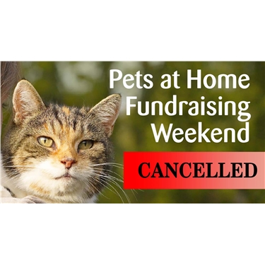Pets At Home Weekend Pets At Home Weekend