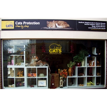 Volunteer for our Kempston shop and raise funds for felines