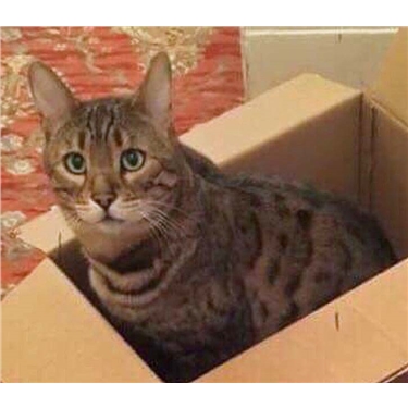 Missing from Wellswood Missing from Wellswood