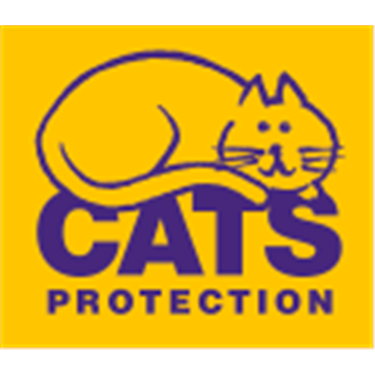 Could you be a fosterer for local cats?