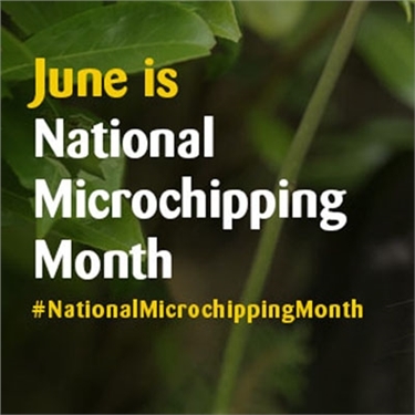 National Microchipping Month National Microchipping Month