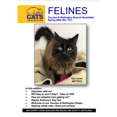 Felines Newsletter Spring 2022