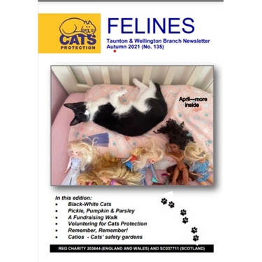 Felines Newsletter Autumn 2021