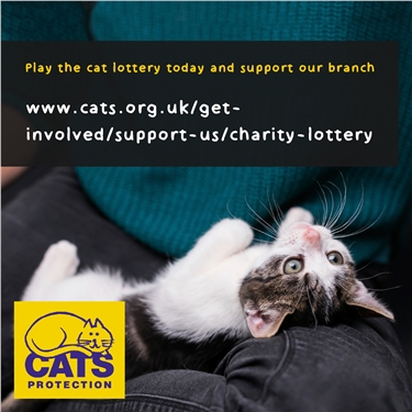 Cat Costs Per Month Uk Cat Costs Per Month Uk