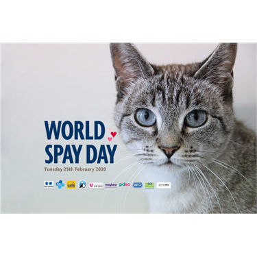World Spay Day World Spay Day