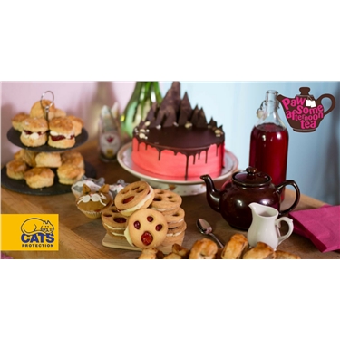 Pawsome Afternoon Tea Pawsome Afternoon Tea