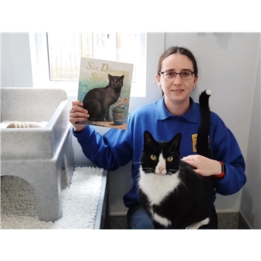 Laura’s reading with cats is a lockdown sensation!