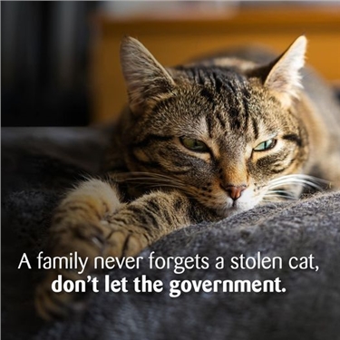 Please sign our petition relating to the Governments new pet abduction offence