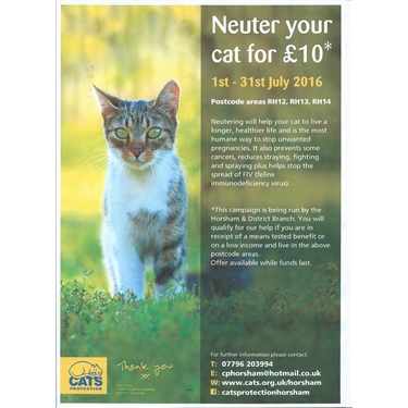 July 2016 Neutering Campaign July 2016 Neutering Campaign