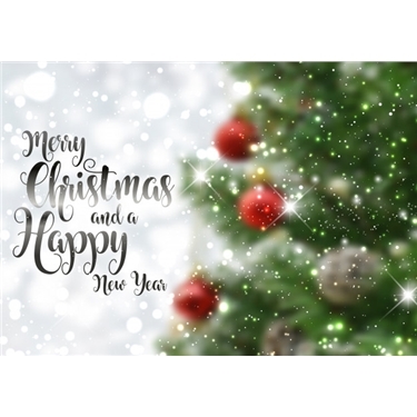 Merry Christmas and a Happy New Year Merry Christmas and a Happy New Year