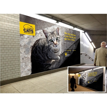 Cats Protection takes over Westminster tube station