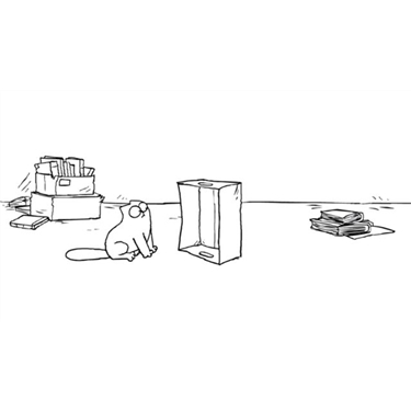 Simon's Cat: why do cats love cardboard boxes?