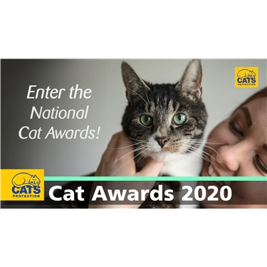 National Cat Awards 2020 - nominations now open! National Cat Awards 2020 - nominations now open!