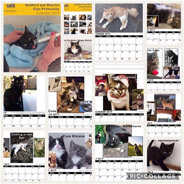 Branch Calendar Branch Calendar
