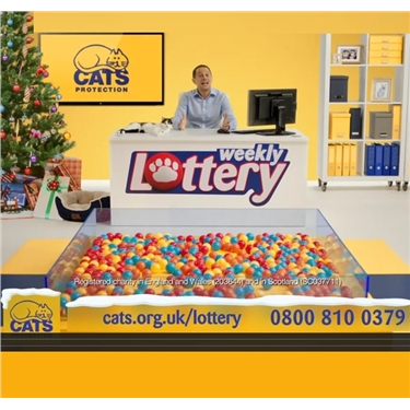 Cats Protection Lottery