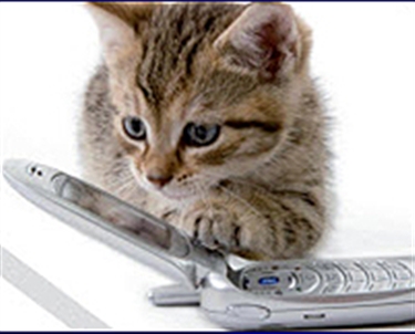 Phones for Homes Phones for Homes