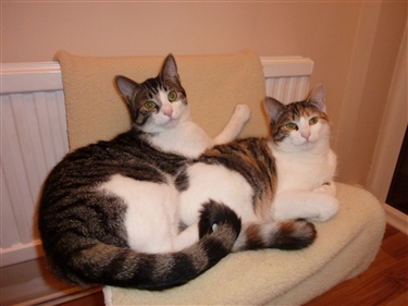 Tabitha and Winston Tabitha and Winston