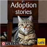 Cat adoption campaign: PURINA and Cats Protection collaboration Cat adoption campaign: PURINA and Cats Protection collaboration