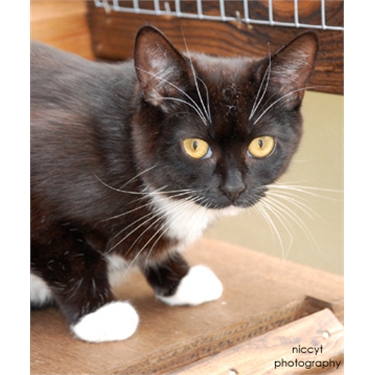 Support us through our Amazon Wishlist Support us through our Amazon Wishlist