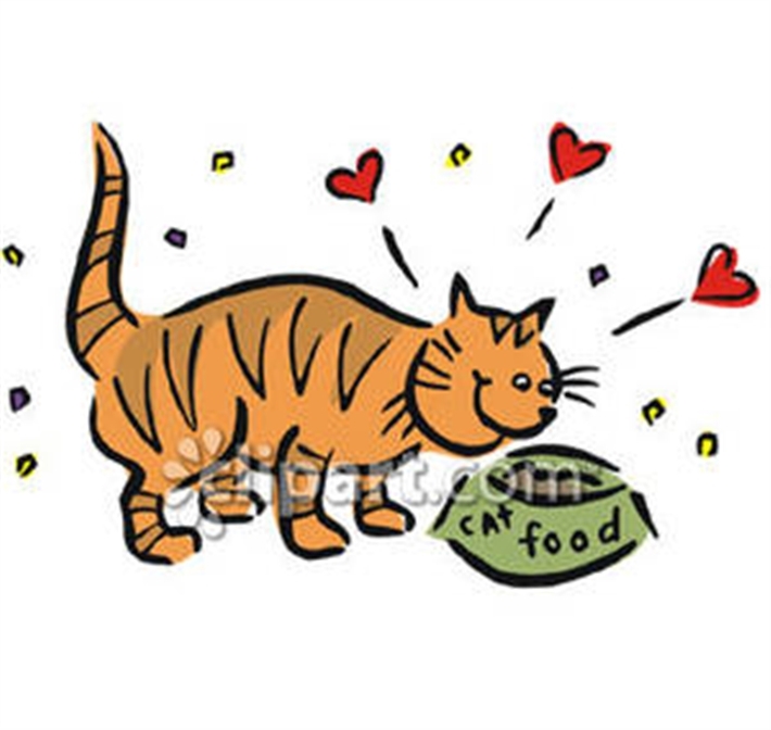 Cats love cat food best!