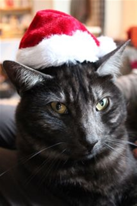 Charlie at xmas