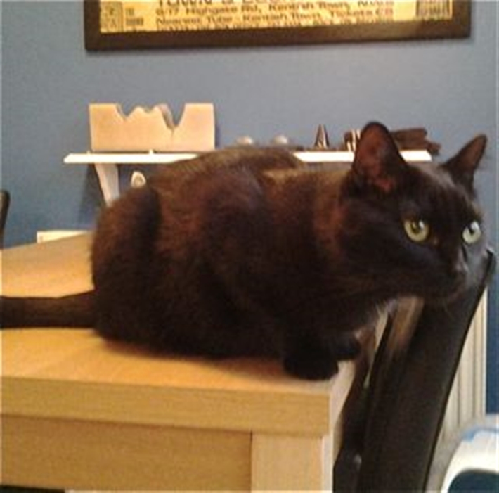 Coal