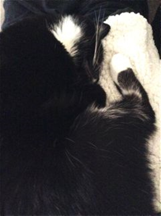 Maggie success story