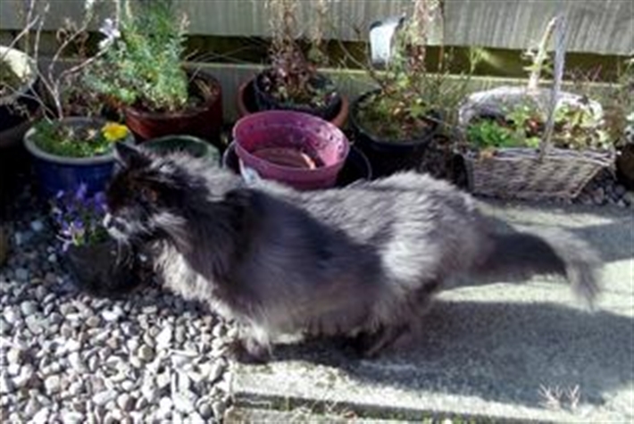 Morgan outside