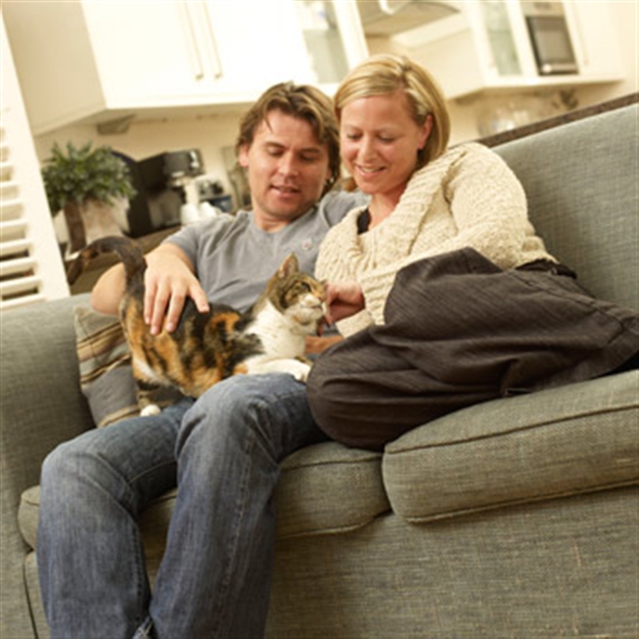 A couple with their Tortie