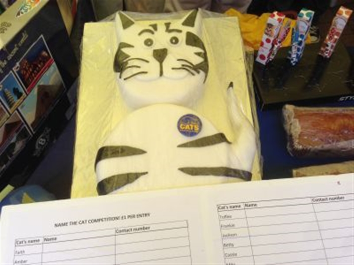 Stourbridge CP at Kinver Fayre 2014 The Cat Cake - 3