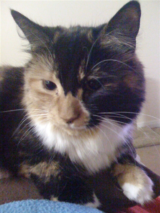 Winnie