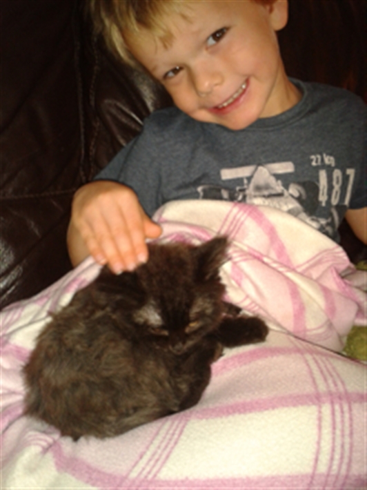 Kitty enjoying a gentle stroke from Jake in her new home